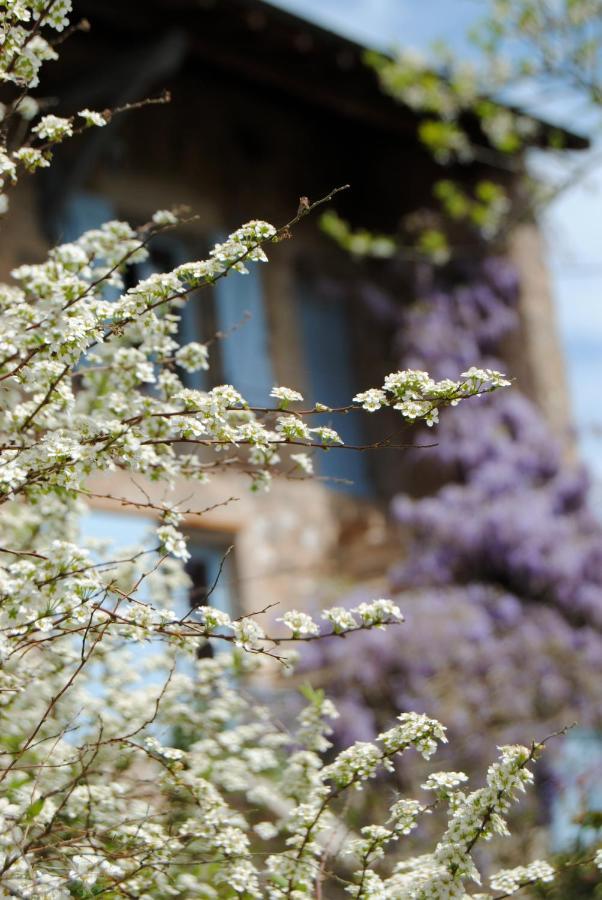 Chambre Privative Et Originale, A 20 Mn De Cluny Trivy Exterior foto